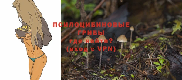 круглые Алексеевка