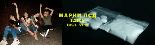 гидра Алексин