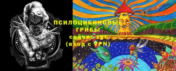 круглые Алексеевка