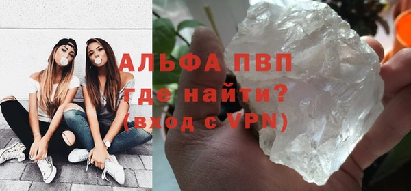 гидра Алексин
