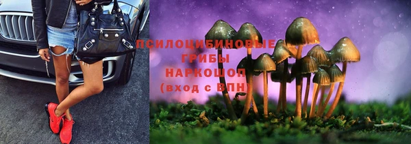 прущие крисы Кодинск