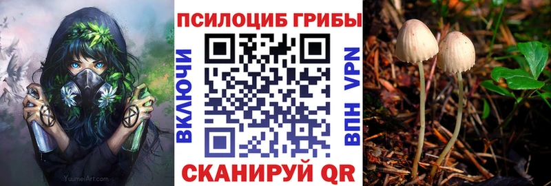 Псилоцибиновые грибы мицелий  Большой Камень 
