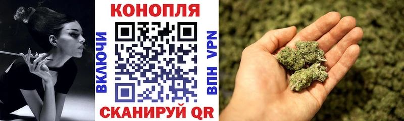 мега как зайти  Большой Камень  Марихуана план 